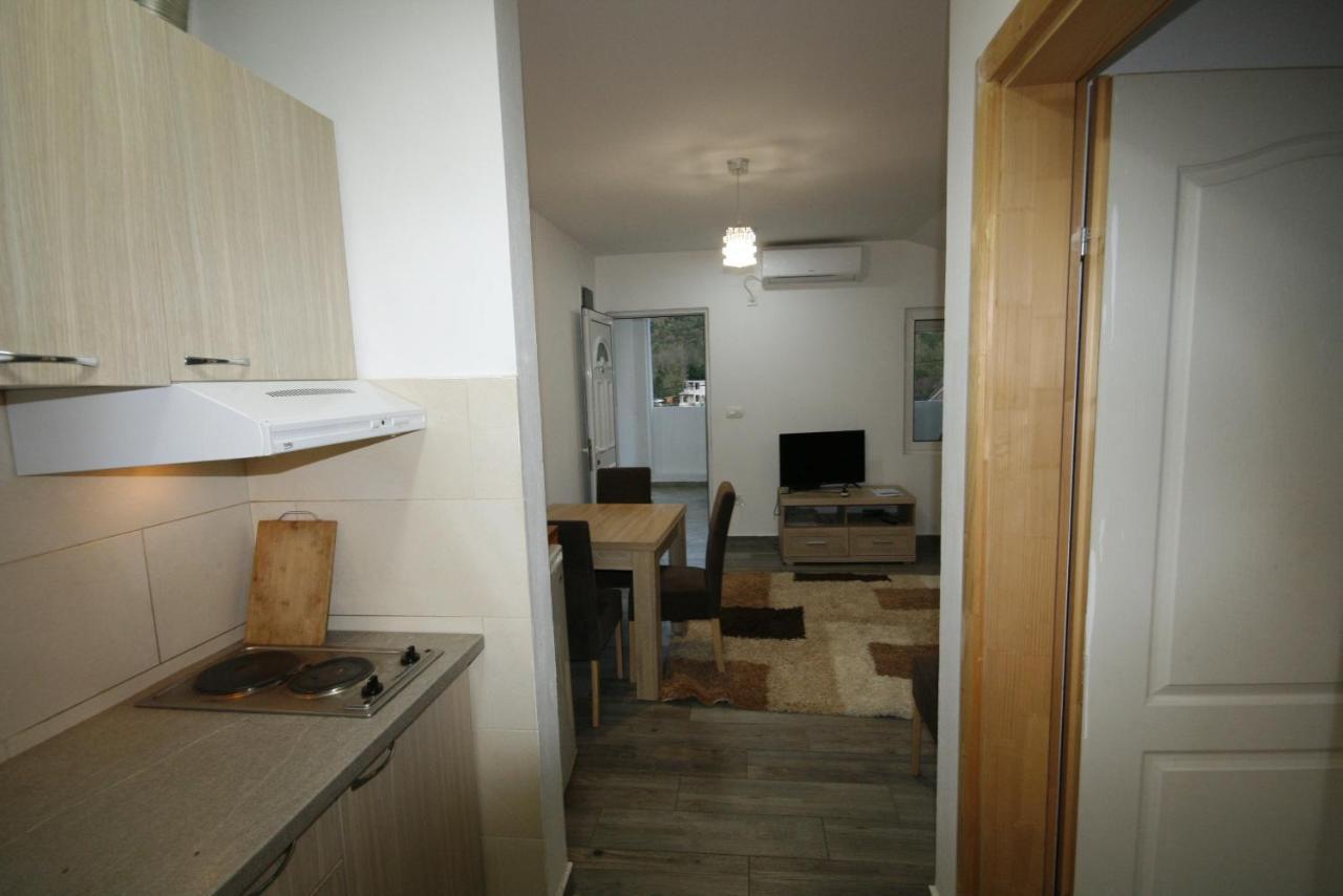 Srdanovic Apartment Tivat